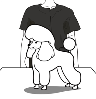 위그 및 견체모형